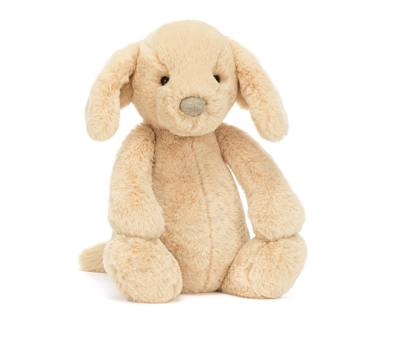 Bashful Luxe Puppy Orlando